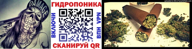 Бошки Шишки индика  купить закладку  Заозёрск 